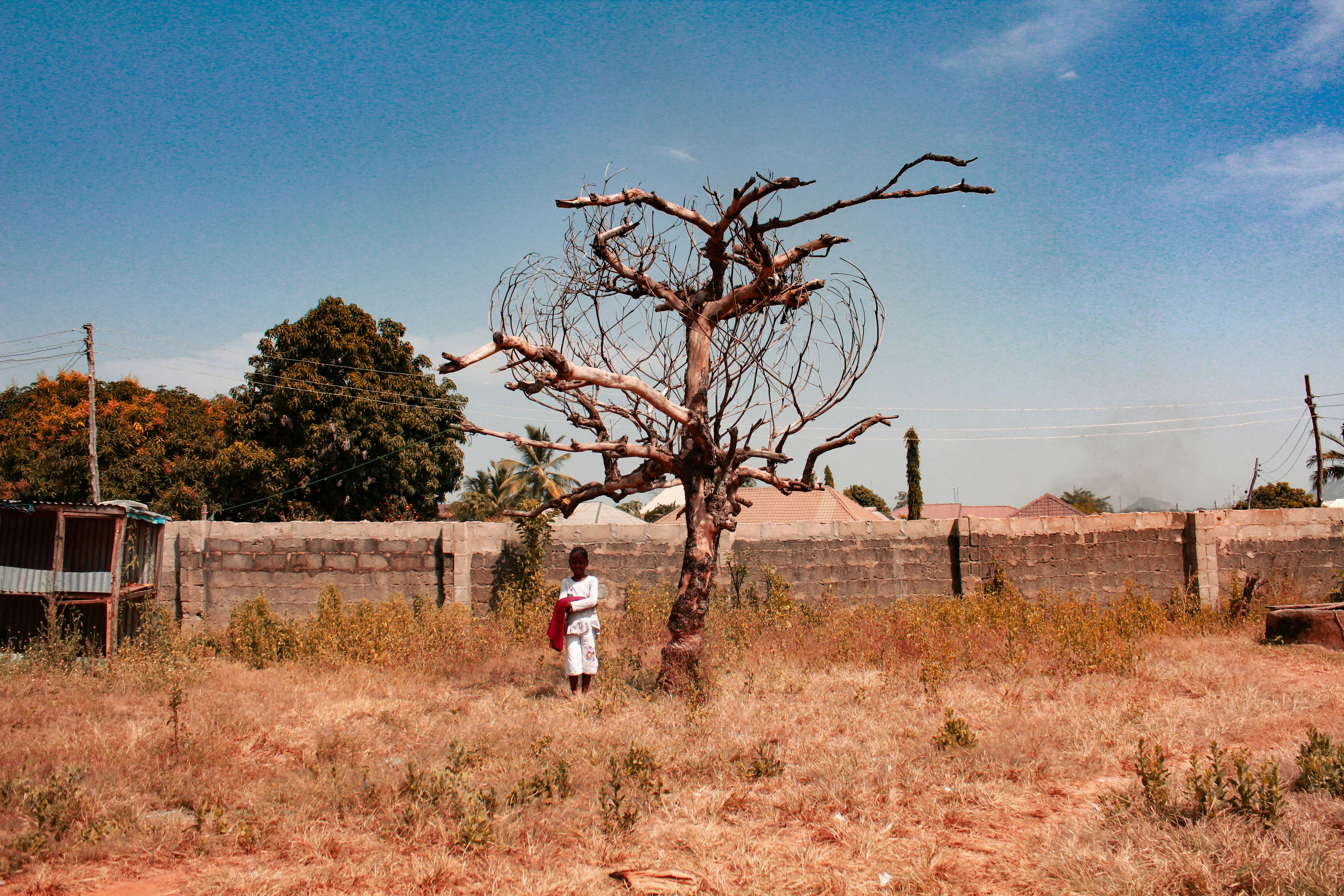 boy standing near bare-tree during daytime